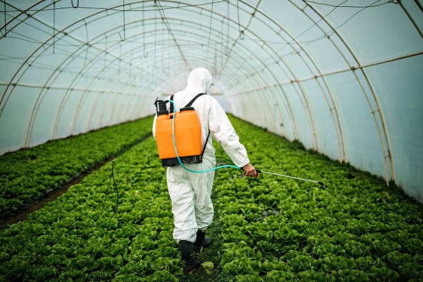 Best Best Pest Control Companies  in Mayo, SC