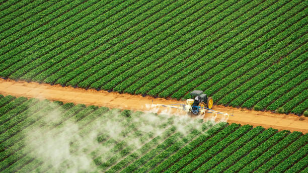 Best Best Pest Control Companies  in Mayo, SC