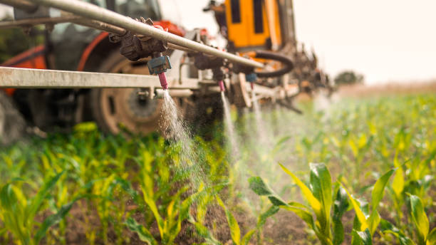 Best Commercial Pest Control Services  in Mayo, SC